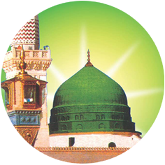 Syed Shazeb Ali