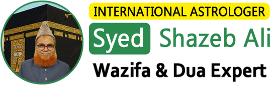 Syed Shazeb Ali